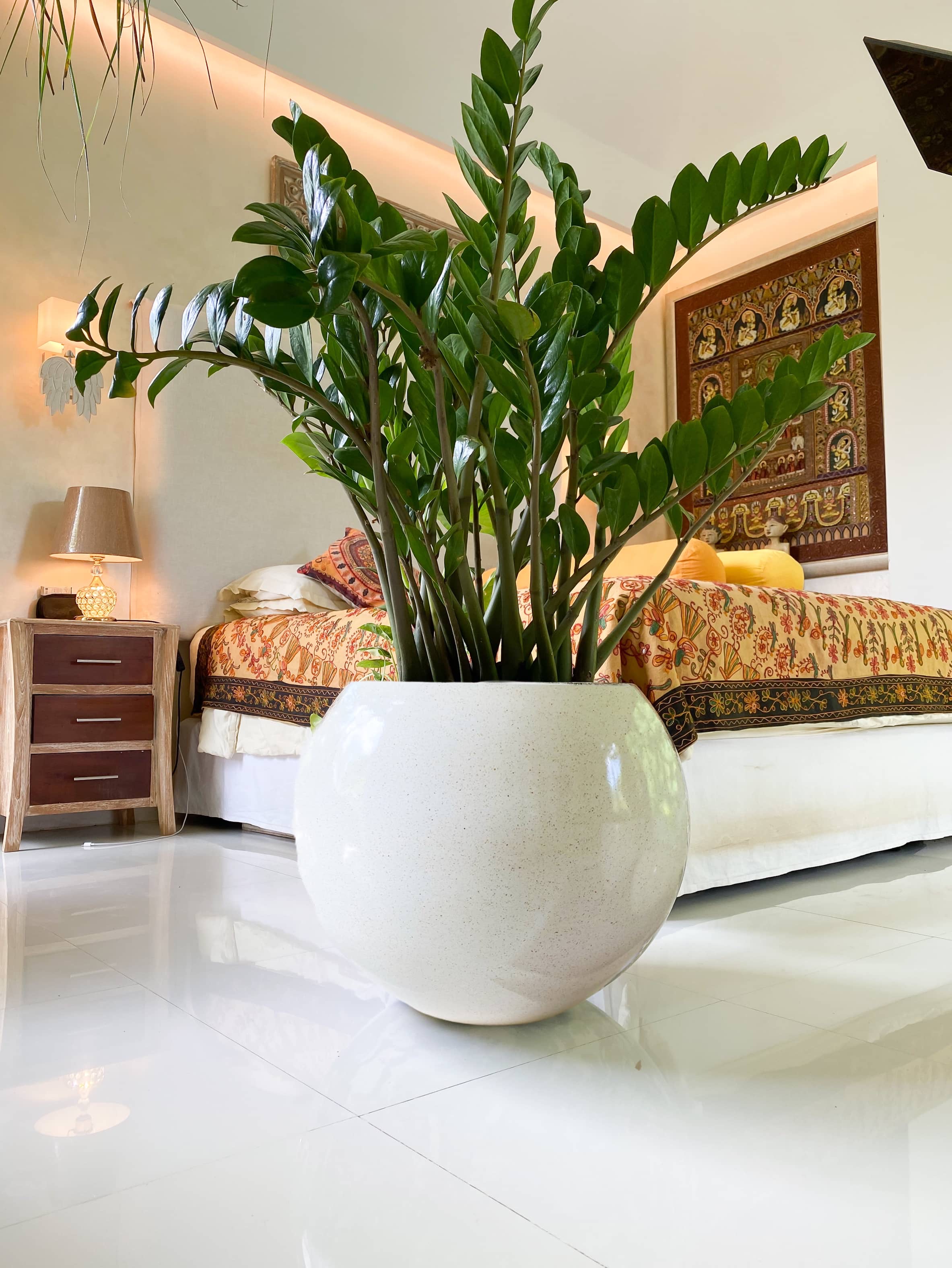 Main Page 184D2B07 DE0C 4901 900F 1E424B9F99A8 Compressed 1