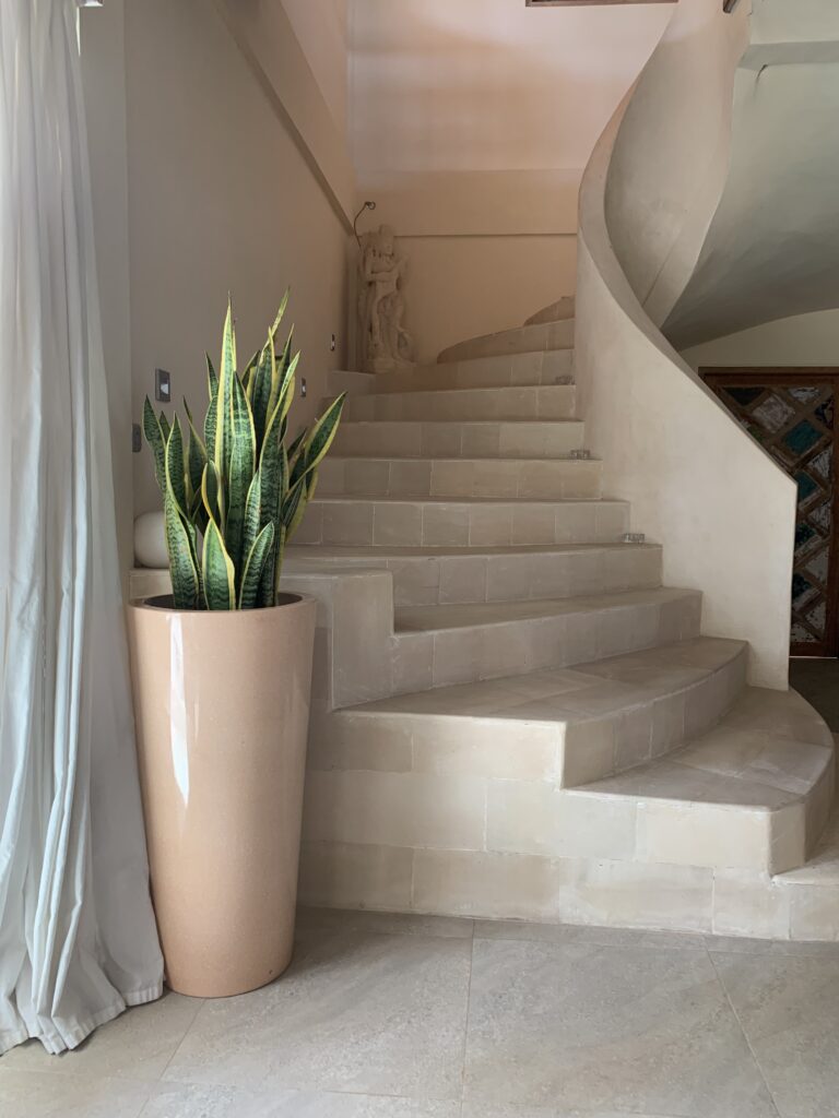 Collaboration img 2929