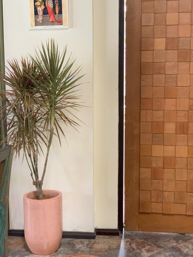 Collaboration img 4207