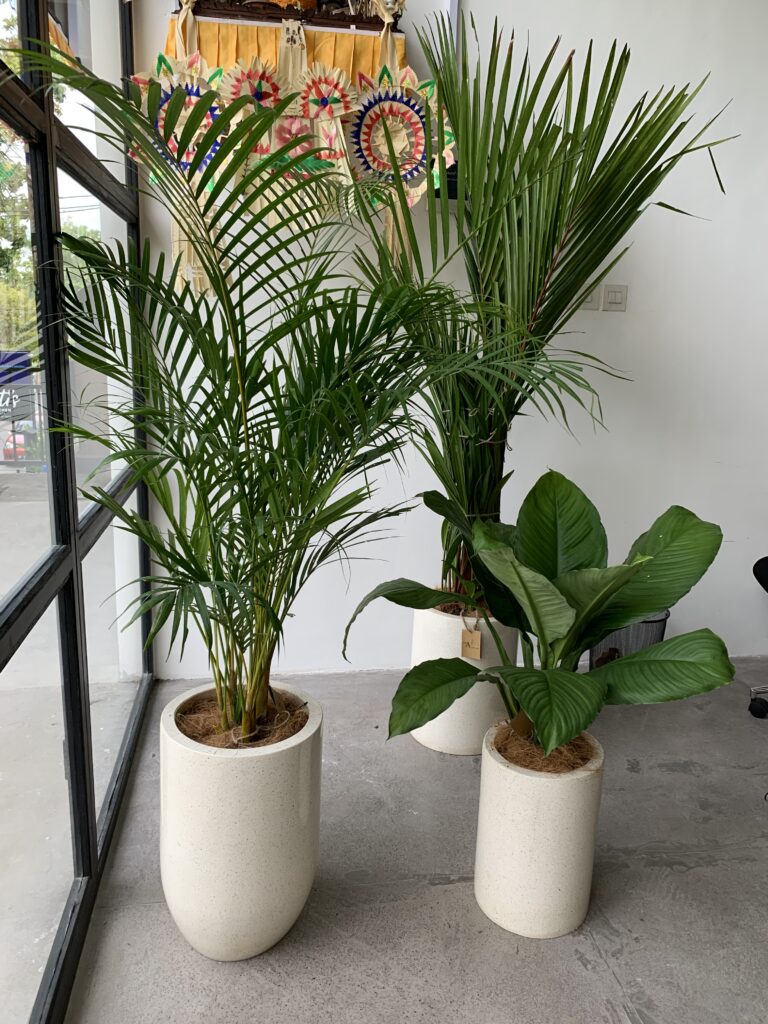 Collaboration img 6409