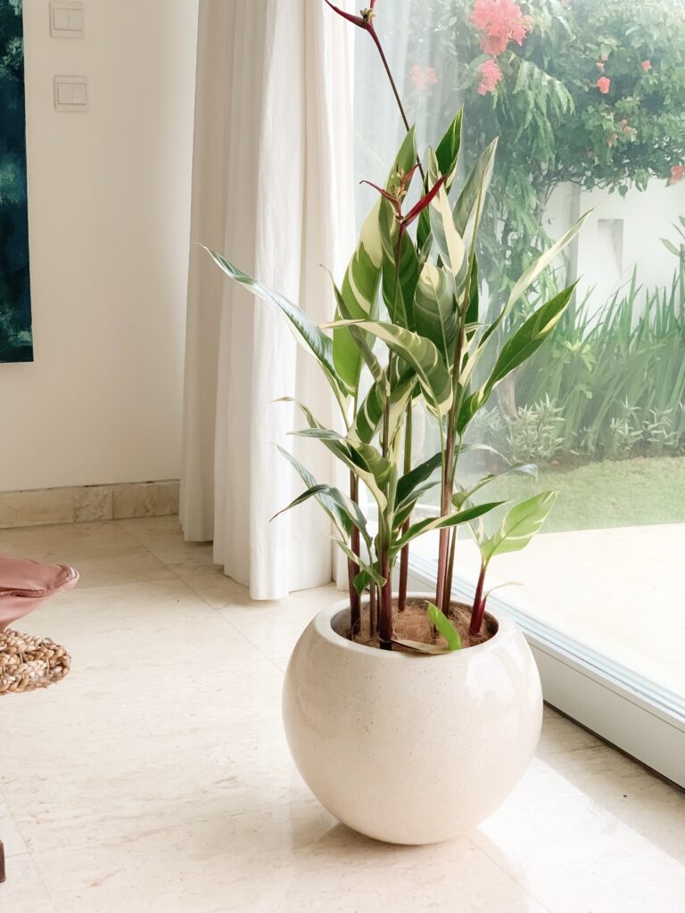 Collaboration img 6940