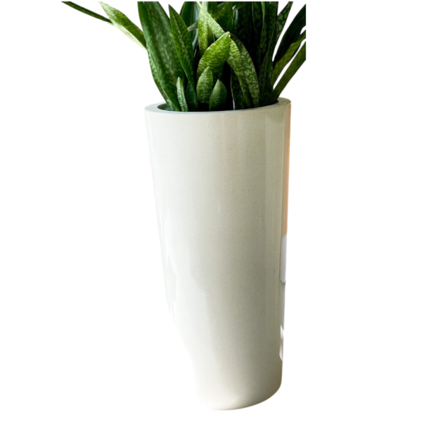 photoroom 20260122 114123 photoroom 20260122 114123