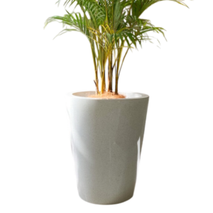 photoroom 20260122 114230