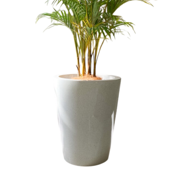 photoroom 20260122 114230 photoroom 20260122 114230