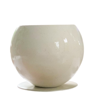 photoroom 20260122 125152 photoroom 20260122 125152