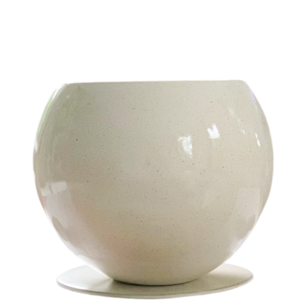 photoroom 20260122 125152