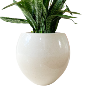 guci ball shape 50x50