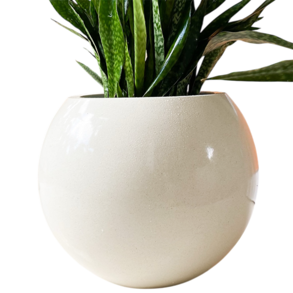 photoroom 20260122 125348 photoroom 20260122 125348