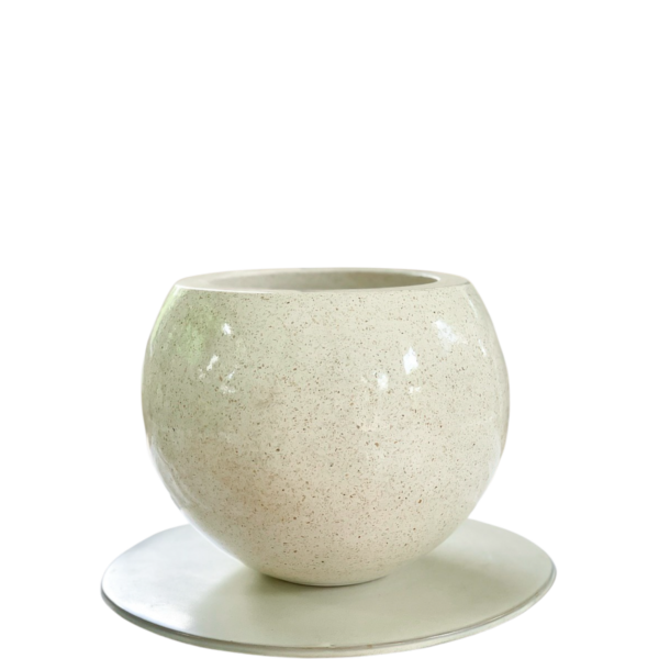 photoroom 20260122 125609