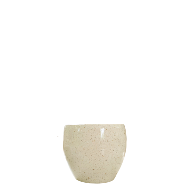 photoroom 20260122 132154 photoroom 20260122 132154