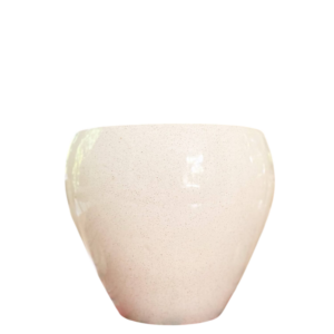 photoroom 20260122 132301