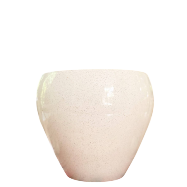 photoroom 20260122 132301 photoroom 20260122 132301