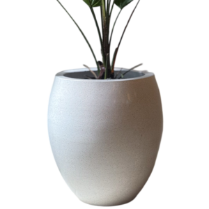 photoroom 20260122 132410