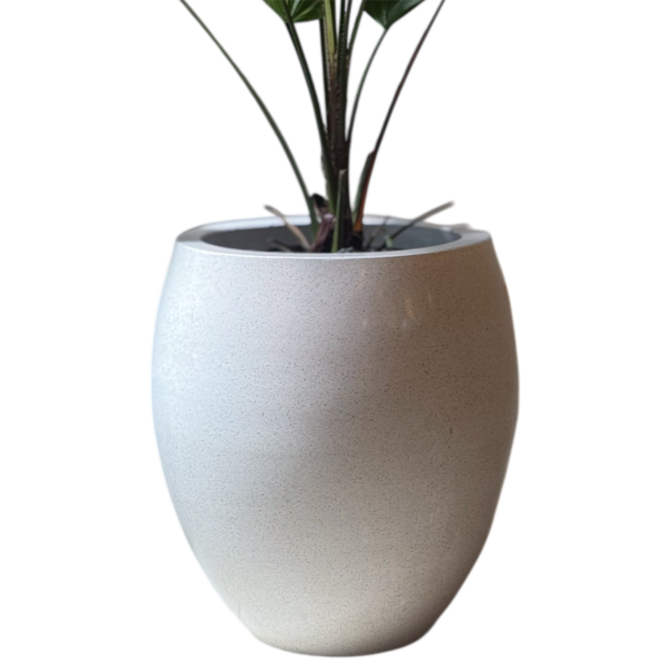 photoroom 20260122 132410 photoroom 20260122 132410