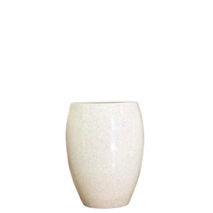 photoroom 20260122 132455