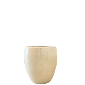 photoroom 20260122 132613