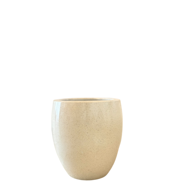 photoroom 20260122 132613