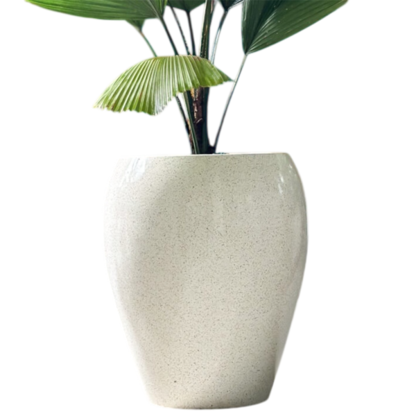 photoroom 20260122 132656 photoroom 20260122 132656