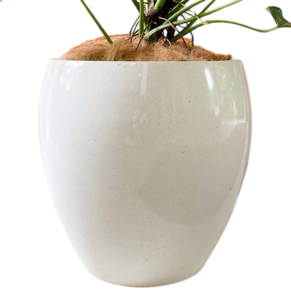 photoroom 20260122 132748 photoroom 20260122 132748