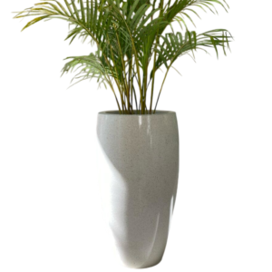 photoroom 20260122 161858