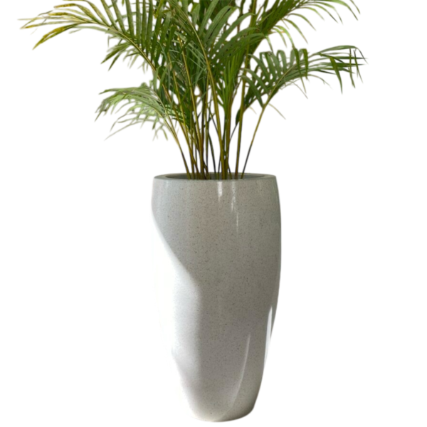 photoroom 20260122 161858