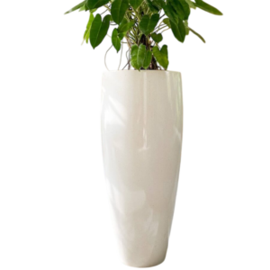 photoroom 20260122 162031