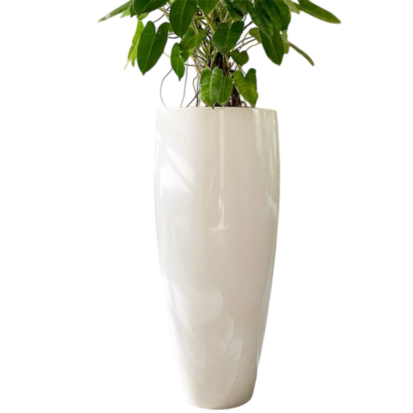 photoroom 20260122 162031 photoroom 20260122 162031