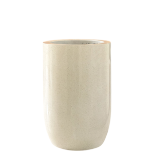 photoroom 20260122 165638 photoroom 20260122 165638