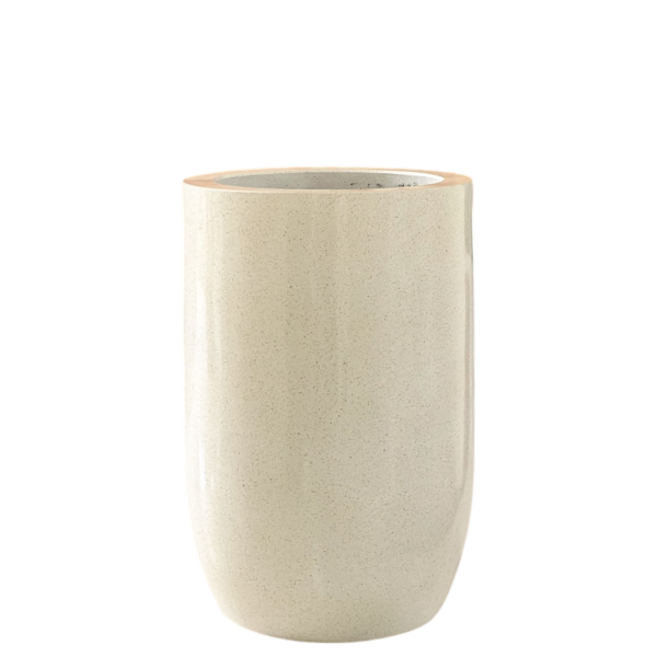 photoroom 20260122 165638