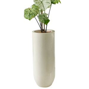 photoroom 20260122 165753 photoroom 20260122 165753