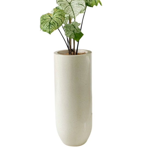 photoroom 20260122 165753