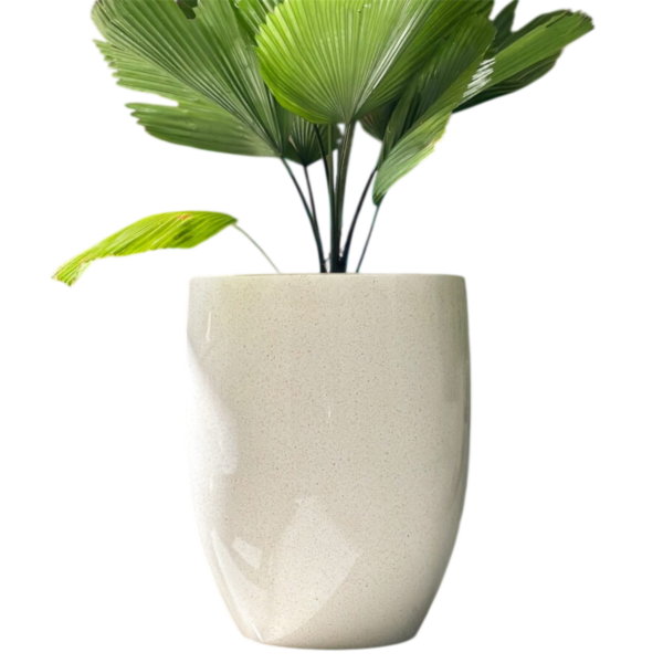 photoroom 20260122 165906