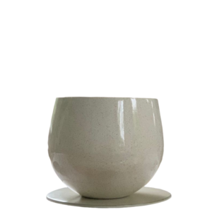 photoroom 20260122 173323