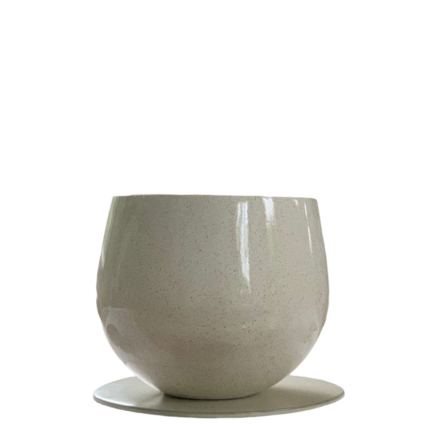 photoroom 20260122 173323 photoroom 20260122 173323