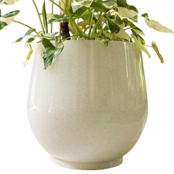 photoroom 20260122 173620