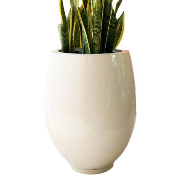 photoroom 20260122 174201