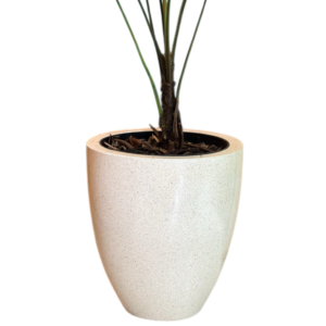 photoroom 20260122 180315 photoroom 20260122 180315