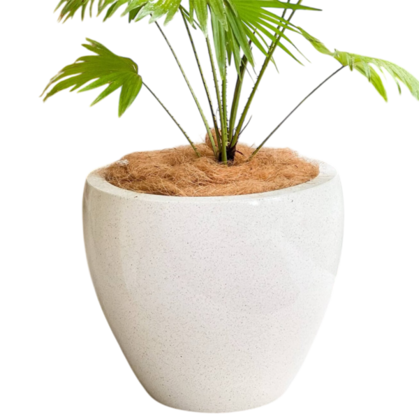 photoroom 20260122 180410 photoroom 20260122 180410