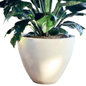 photoroom 20260122 180452 photoroom 20260122 180452