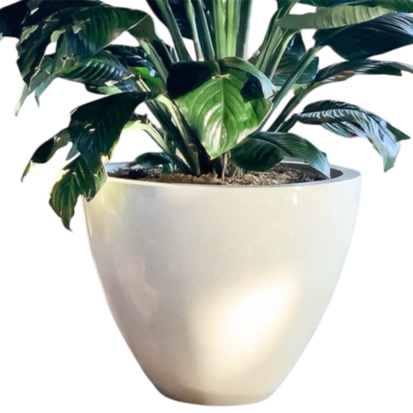 photoroom 20260122 180452 photoroom 20260122 180452