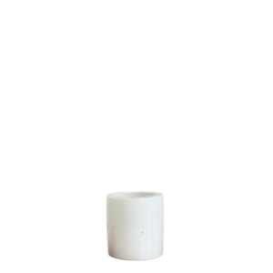 photoroom 20260122 181935 photoroom 20260122 181935