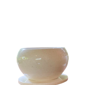 photoroom 20260122 185618 photoroom 20260122 185618