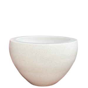 photoroom 20260122 185816 photoroom 20260122 185816