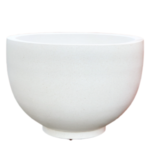 photoroom 20260122 190041 photoroom 20260122 190041