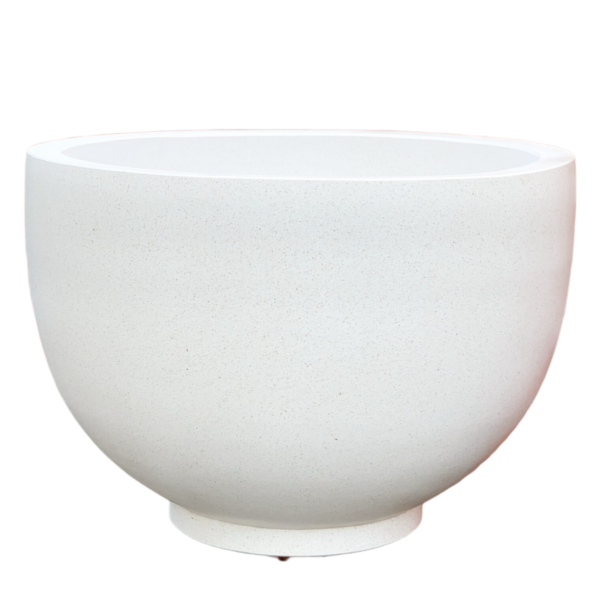 photoroom 20260122 190041 photoroom 20260122 190041