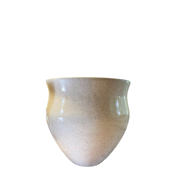 photoroom 20260122 214710 photoroom 20260122 214710