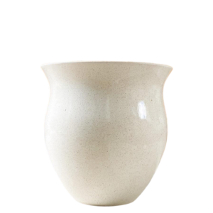 photoroom 20260122 214813 photoroom 20260122 214813