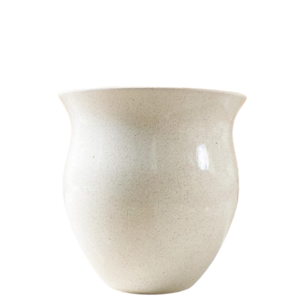 photoroom 20260122 214813 photoroom 20260122 214813