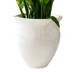 photoroom 20260122 215000 photoroom 20260122 215000