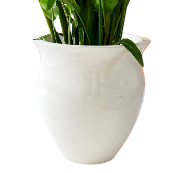 photoroom 20260122 215000